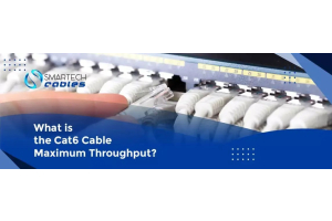 What is the Cat6 Cable Maximum Throughput?